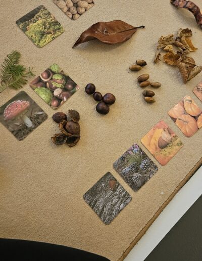 Un tapis sur le sol sur lequel est arrangé des images de végétaux ainsi que des feuilles et glands récoltés dans le nature.